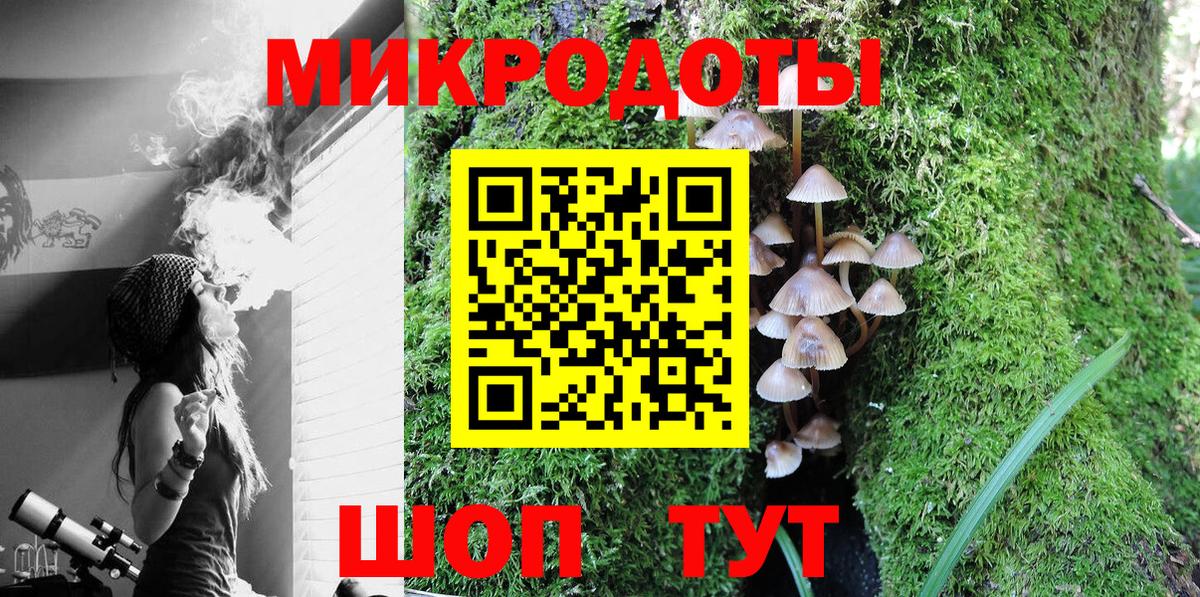 Галлюциногенные грибы мицелий  Вход с VPN  Псилоцибиновые грибы Psilocybe  даркнет сайт  Солнечногорск 